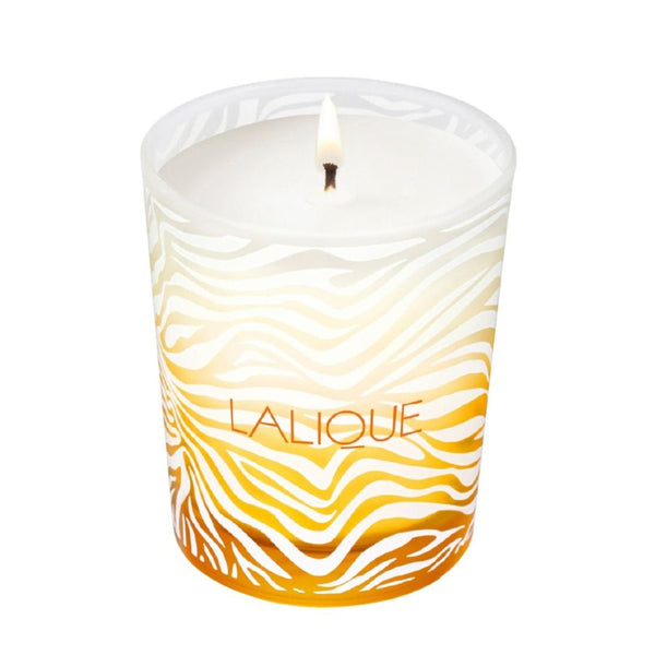 Lalique Le Soleil Chiang Mai Thailande Perfumed Candle 190g - LookincredibleLalique7640171199016